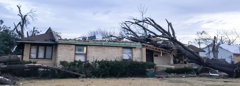 Storm-Damaged Tree on Roof