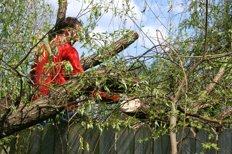 Improve Tree Health